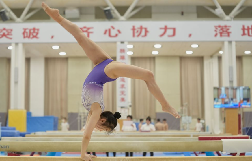 掌握pg模拟器的数据管理